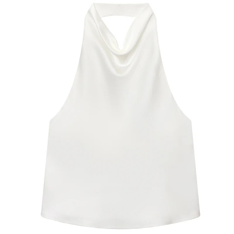 Satin Cowl Neck Halter Top with Backless Cut — Quiet Luxury Night Out - BaeSprout.com