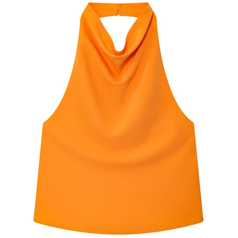 Satin Cowl Neck Halter Top with Backless Cut — Quiet Luxury Night Out - BaeSprout.com