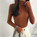 Knitted Turtleneck Sweater for Women - BaeSprout.com