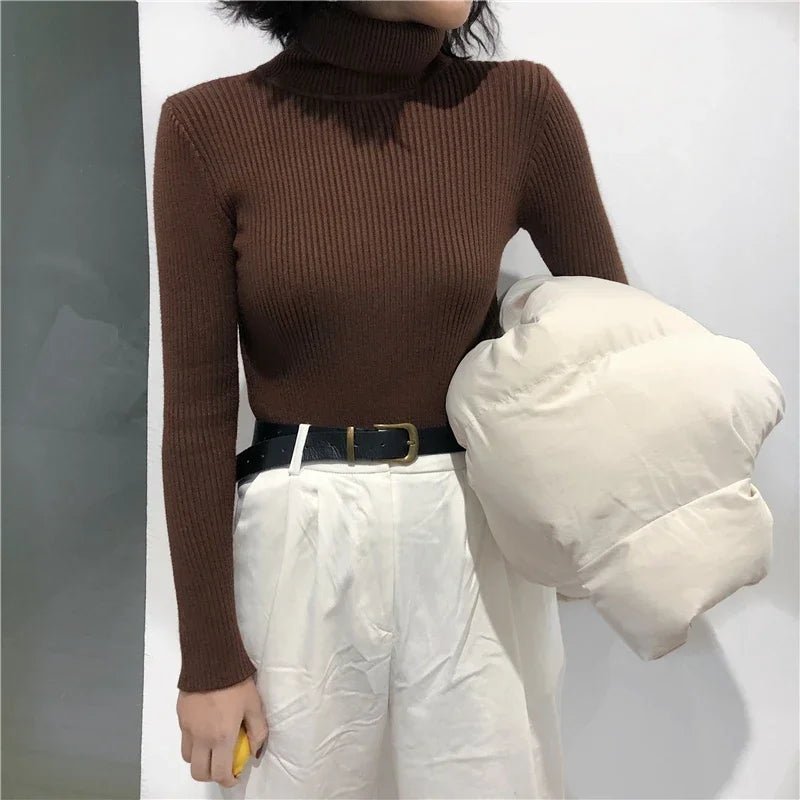 Knitted Turtleneck Sweater for Women - BaeSprout.com
