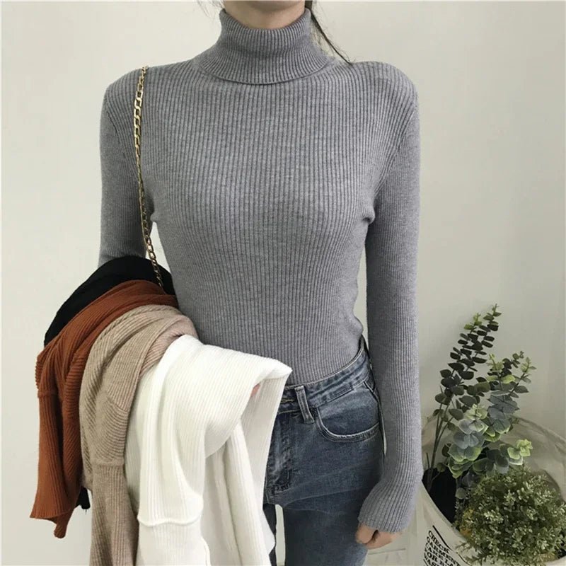Knitted Turtleneck Sweater for Women - BaeSprout.com