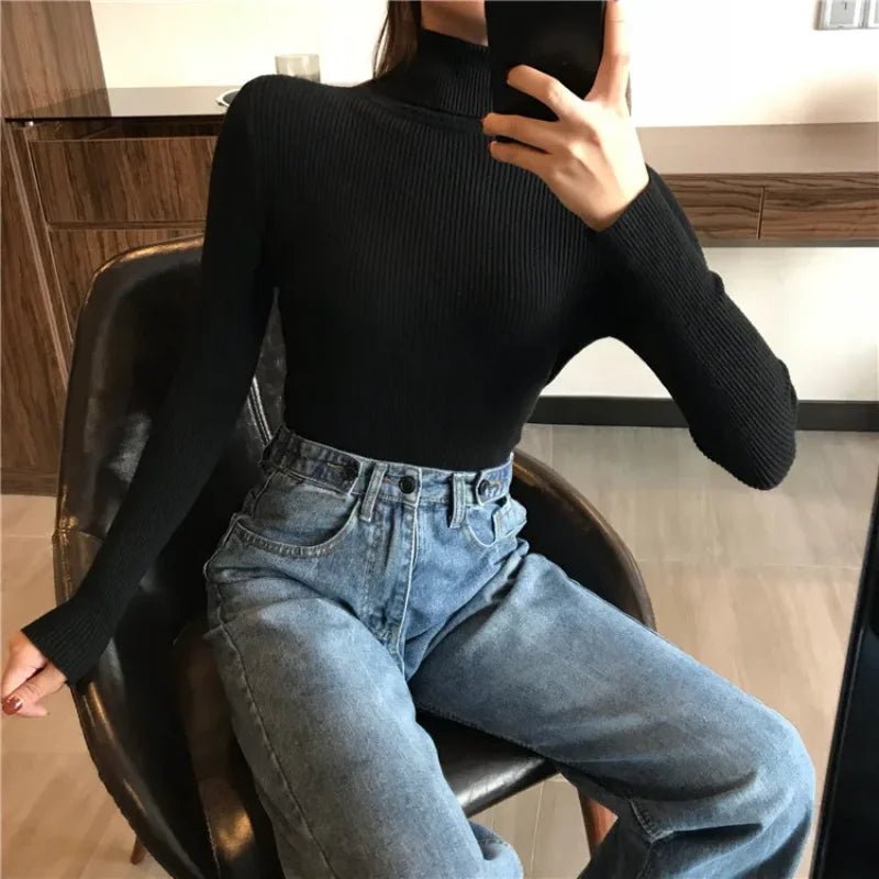 Knitted Turtleneck Sweater for Women - BaeSprout.com