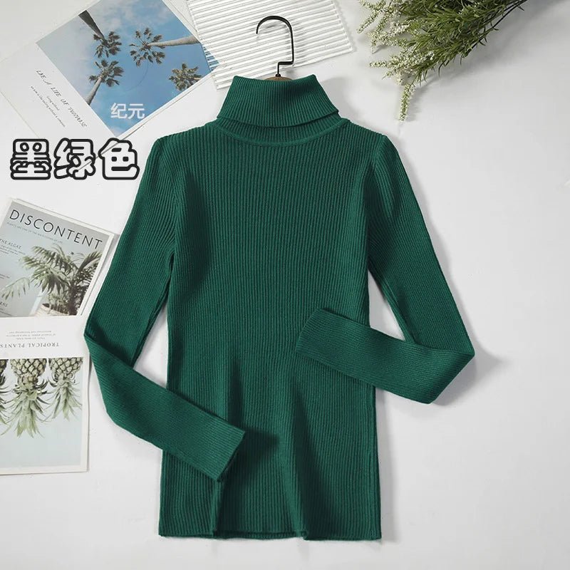 Knitted Turtleneck Sweater for Women - BaeSprout.com