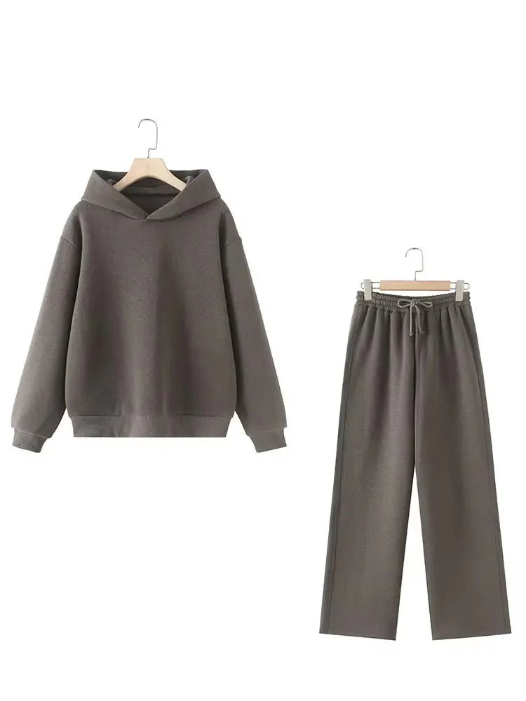 V - Neck Hoodie Wide Leg Pants Set Two Piece Fleece — Quiet Luxury Casual - BaeSprout.com