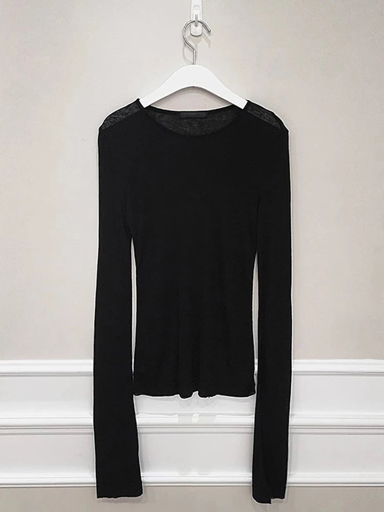 Sheer Slim - Fit Long Sleeve Mesh Tee - BaeSprout.com