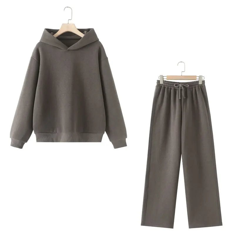 V - Neck Hoodie Wide Leg Pants Set Two Piece Fleece — Quiet Luxury Casual - BaeSprout.com