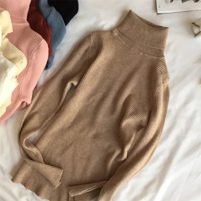 Knitted Turtleneck Sweater for Women - BaeSprout.com