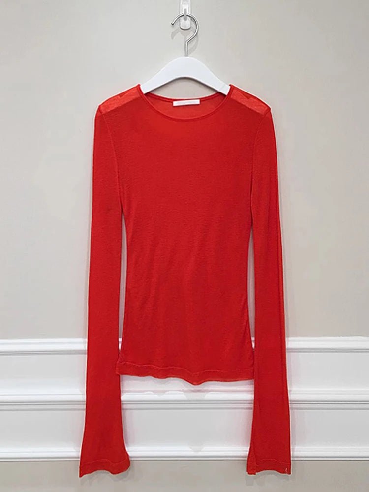 Sheer Slim - Fit Long Sleeve Mesh Tee - BaeSprout.com