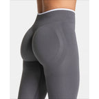 Seamless High - Waist Yoga & Gym Pants - BaeSprout.com